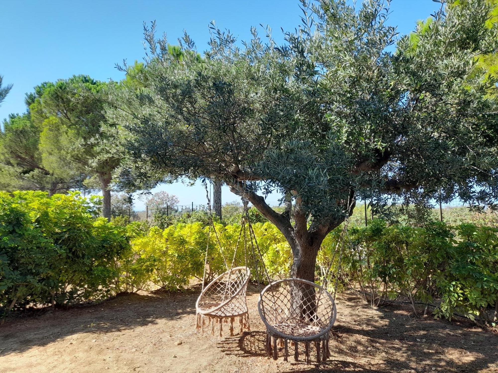 Locanda Degli Scrittori Agrigento Ngoại thất bức ảnh